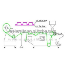 PE air cushion film production line-Plastic extrusion line